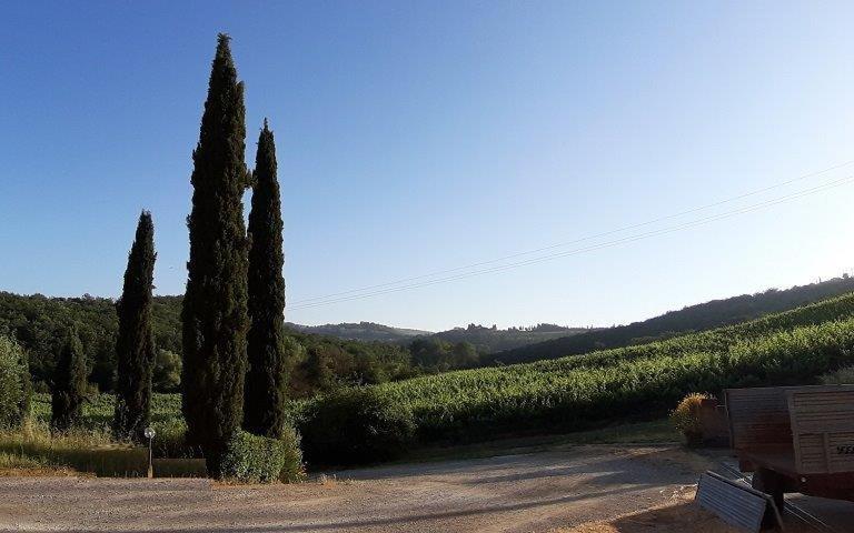 Casa Alla Madonna San Gimignano Exterior photo